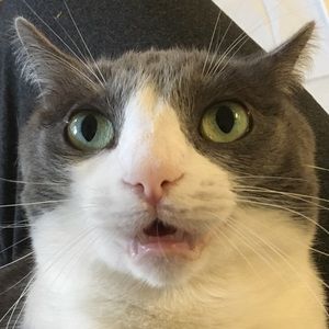 Meet your Posher, John